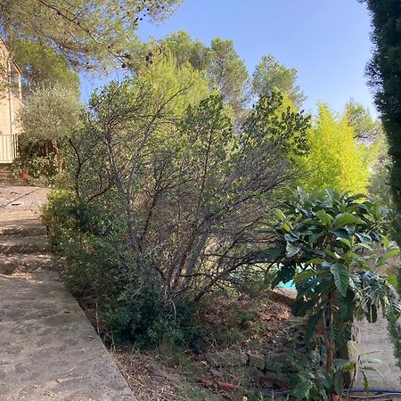 Le Gite Sous Les Pins Les Taillades 外观 照片