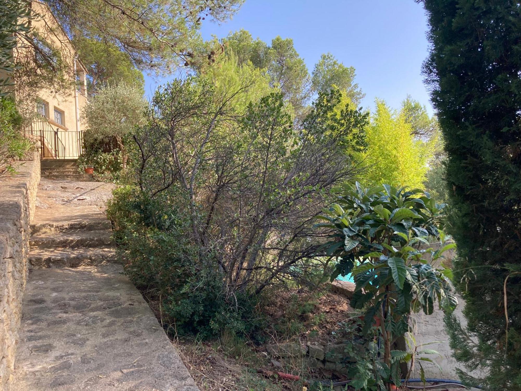 Le Gite Sous Les Pins Les Taillades 外观 照片